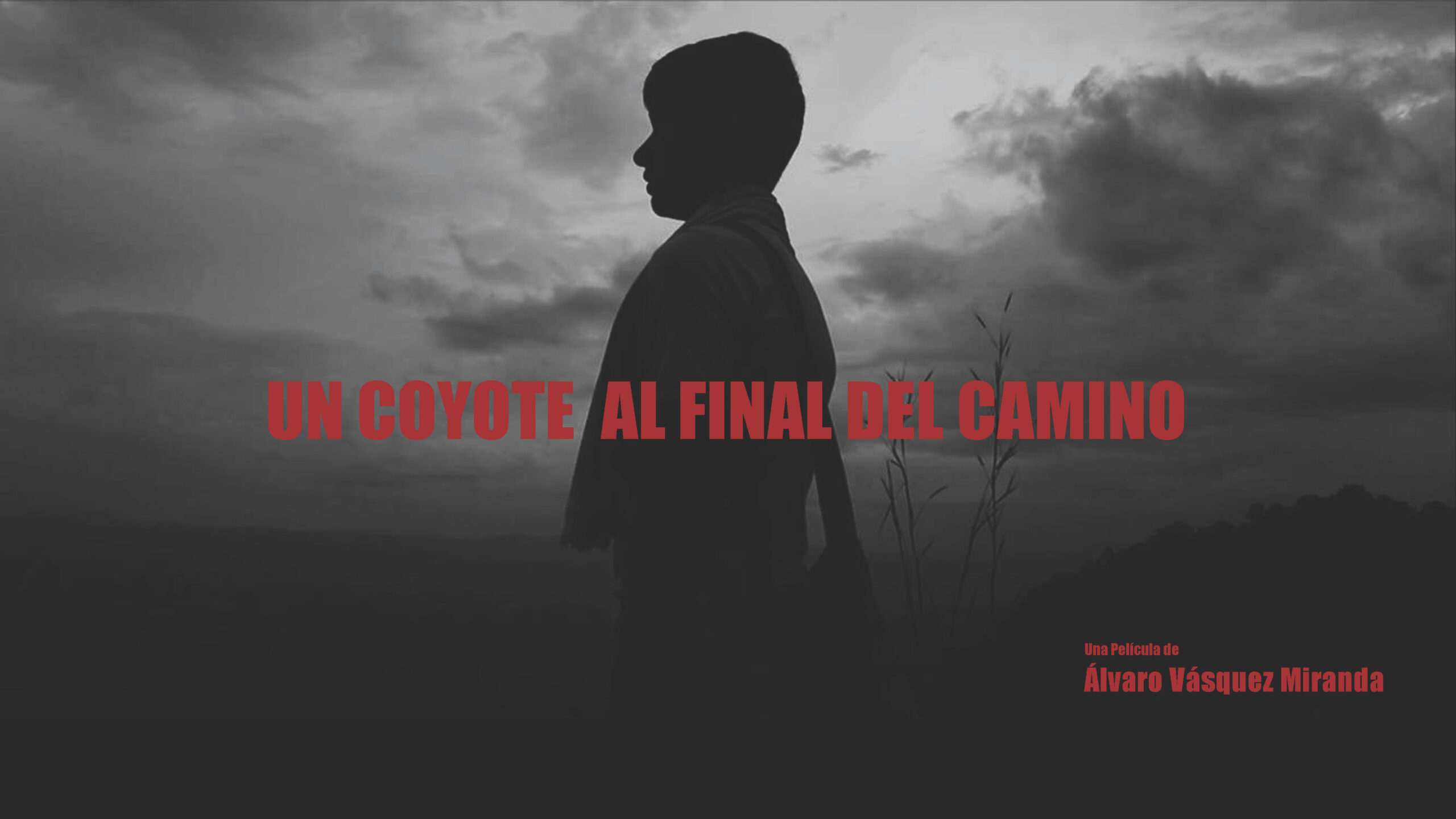 Un Coyote Film – Un Coyote al Final del Camino